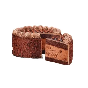 Chocolate Overload Ice Cream Cake